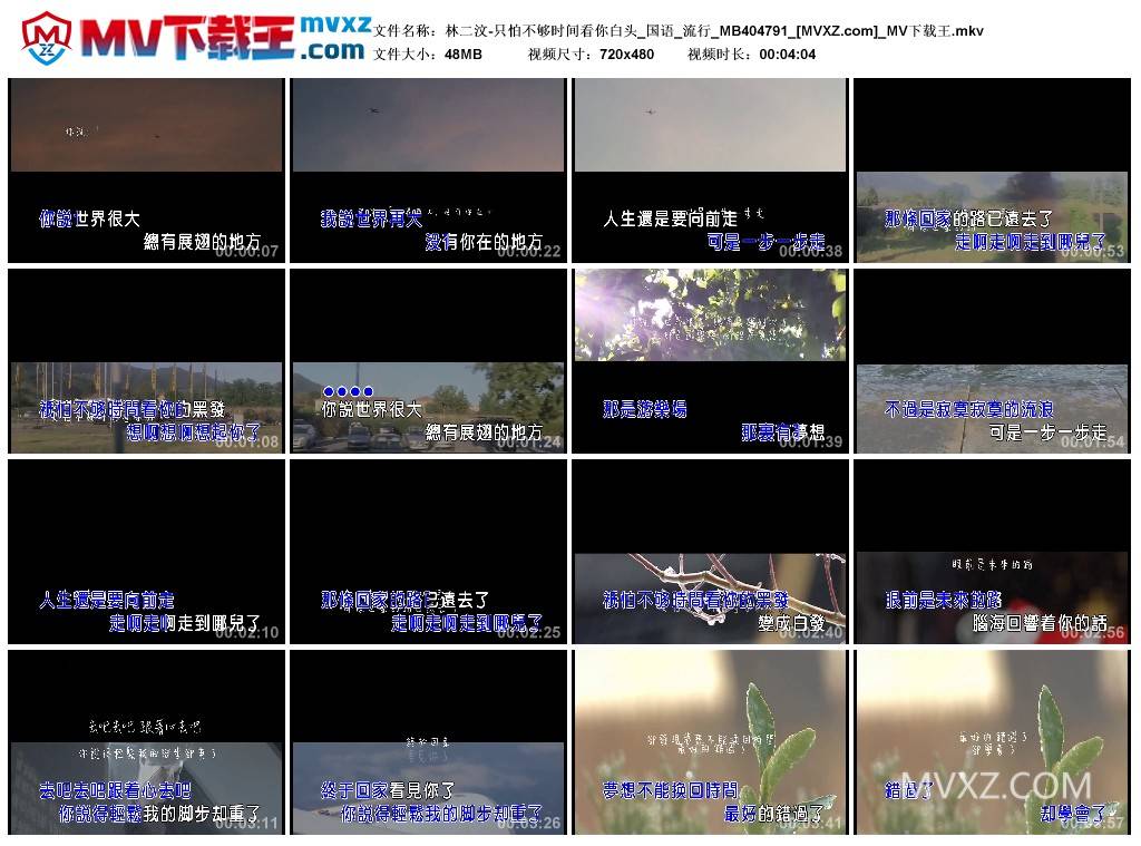 林二汶-只怕不够时间看你白头_国语_流行_MB404791